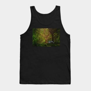 Sleeping Dragon Tank Top